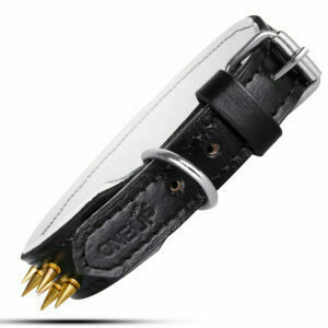 OneUP Pet Leather Dog Collar OPL-002