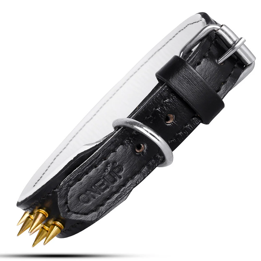 OneUP Pet Leather Dog Collar OPL-002