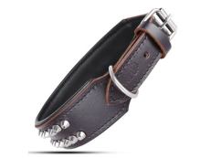 OneUP Pet Dog Collar