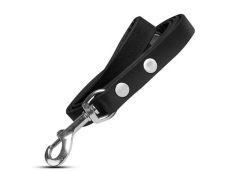 OneUP Pet Leash