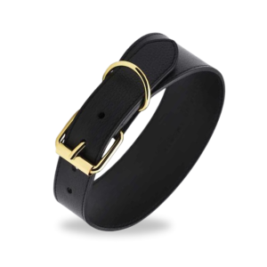 OneUP Leather Soft Padded Grey Hound Dog Collar